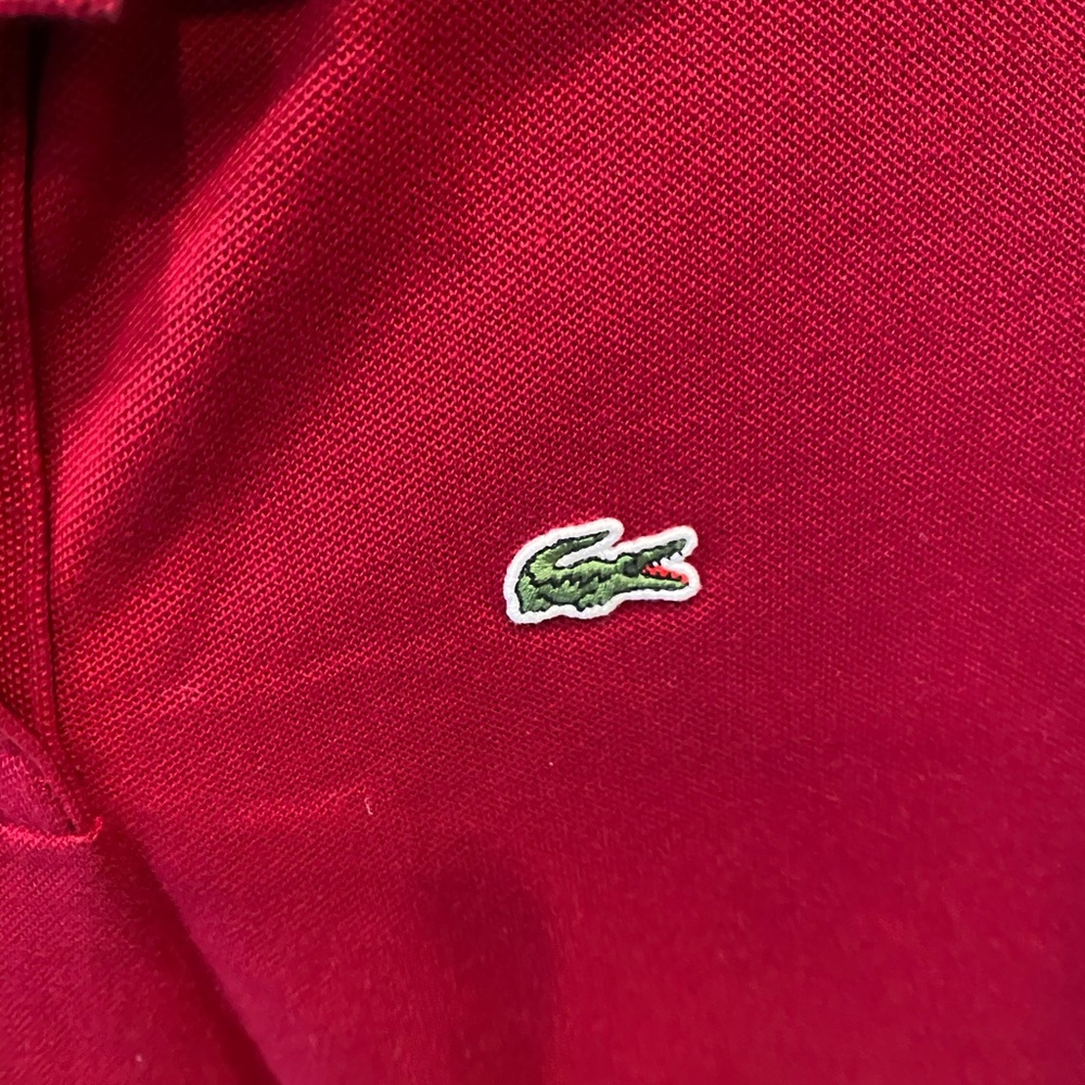 Polo - Picture 2 of 4